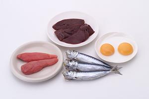 心斎橋で見つけた！おしゃれで健康的なカフェの厳選ガイド