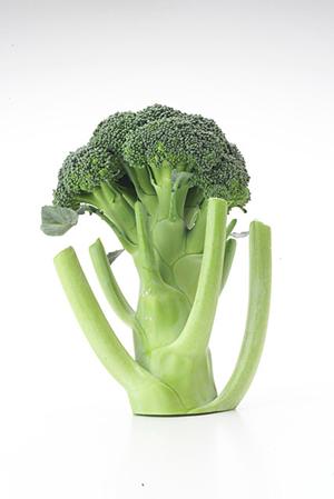 外苑いちょう並木のシェイクシャック – ニューヨークスタイルのバーガー体験