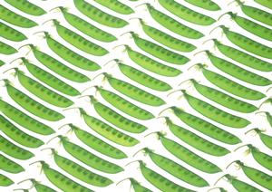 居酒家 土間土間 八重洲店 – くつろぎの居酒屋体験